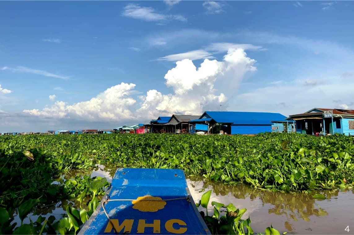 カンボジアでバイオエタノール製造プラントを稼働開始のサブ画像2_トンレサップ湖の水上村落チュノックトゥルー。見渡す限りホテイアオイが覆い尽くす。
