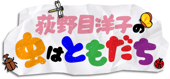 新番組『荻野目洋子の虫はともだち』9月3日(土)13時から「J:COM テレビ」(J:テレ)で放送開始！のメイン画像