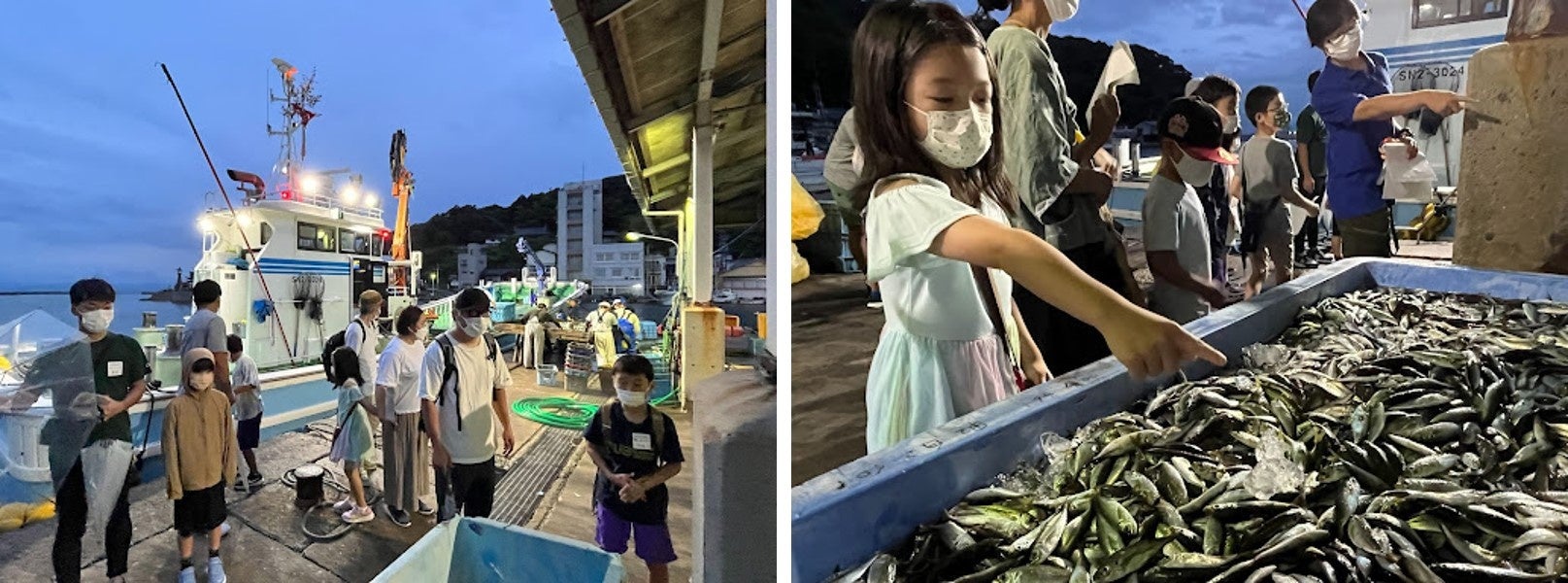 早朝の水揚げ見学と自分流海鮮丼づくり！7組16人の親子が参加【日本さばける塾 in しまね】を開催しましたのサブ画像2