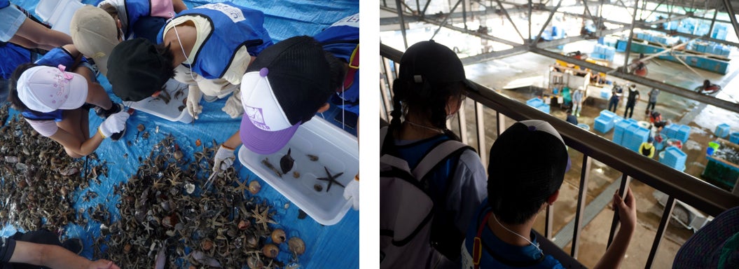 ”海なし県”滋賀県の小学5年生がうみと人との関わりを学ぶ　環境学習「食卓から未来のうみを守り隊２～お寿司で海を考える～」を開催しましたのサブ画像3