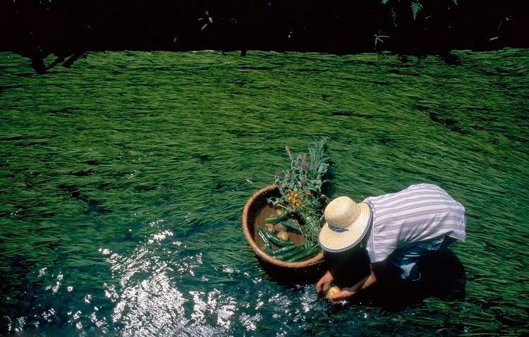 【琵琶湖ホテル】 滋賀県出身の写真家 今森光彦氏写真展「琵琶湖水系と共に生きる」9月1日(木)～10月31日（月）開催のサブ画像1_作品タイトル【川で洗いものをする人】