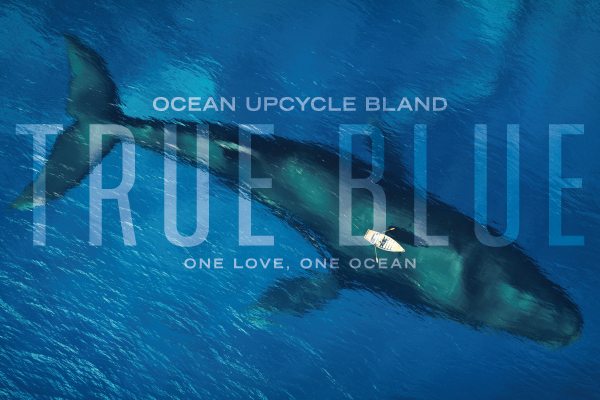WDSからアップサイクルブランド TRUE BLUEが誕生 ~海から始まる世界平和のメイン画像