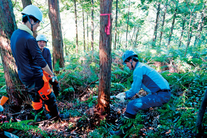 【契約更新】「環境先進企業との協働の森づくり事業」高知県および四万十市とのパートナーズ協定のメイン画像
