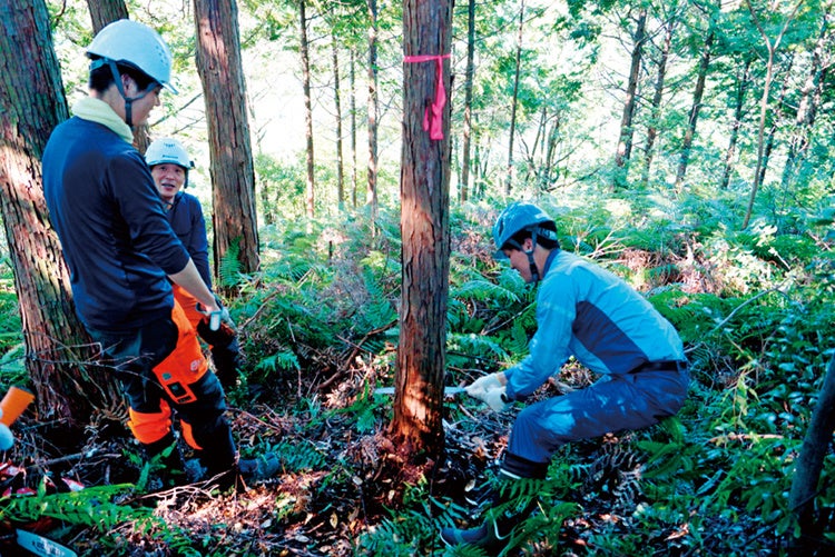 【契約更新】「環境先進企業との協働の森づくり事業」高知県および四万十市とのパートナーズ協定のサブ画像1_【2019年度の森林保全活動の様子】