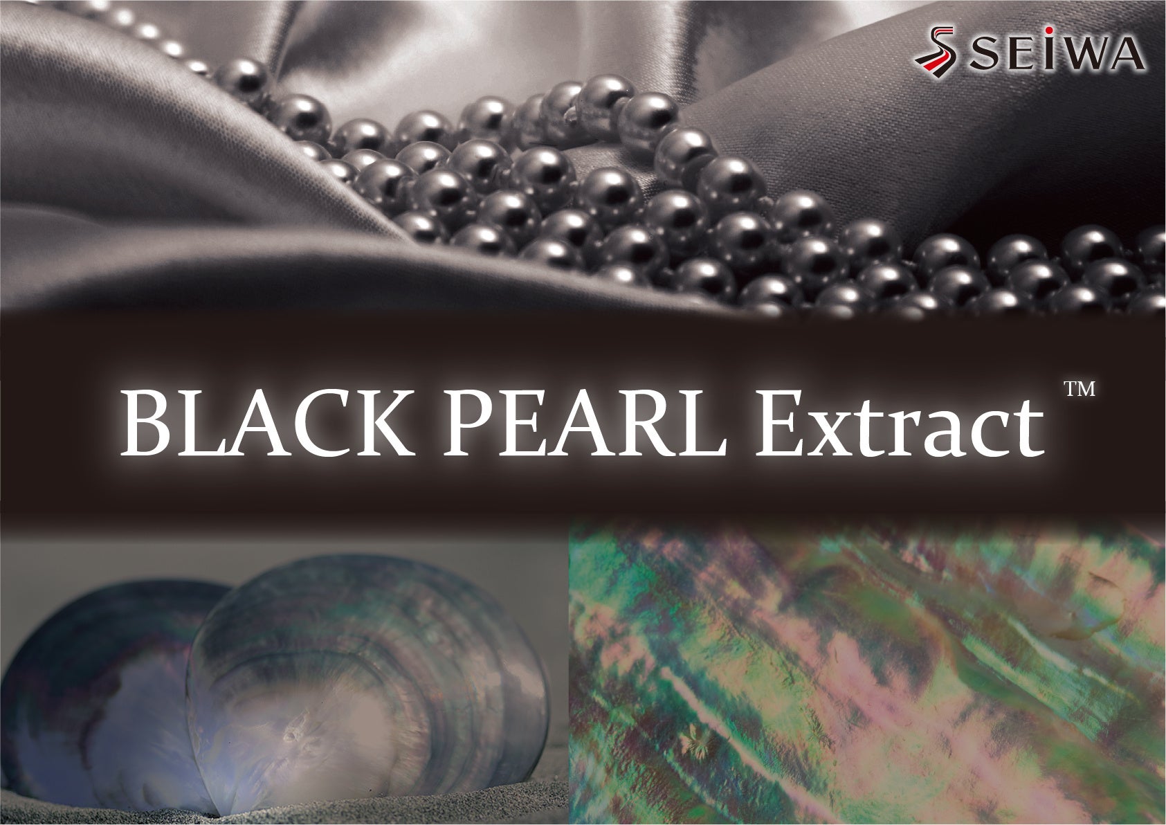 ㈱成和化成　廃棄される黒真珠の母貝からアップサイクルした美容成分を開発のサブ画像1
