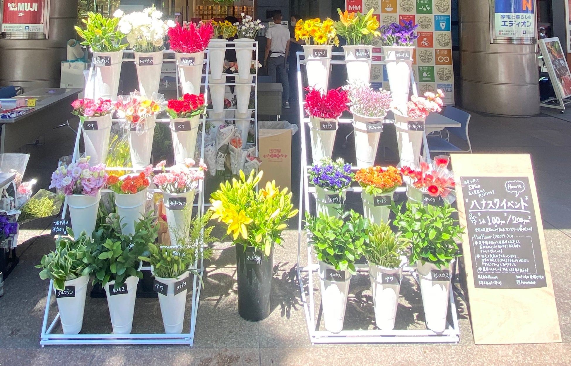 クラウドファンディング公開初日に100%達成！新しい花習慣を提案する生花店「Hanavie」実店舗オープン～9月11日（日）文京区白山のサブ画像3