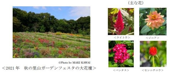 横浜で9.3万人が来場した大規模な花のイベント、ガーデンネックレス横浜2022「秋の里山ガーデンフェスタ」開催！のサブ画像2