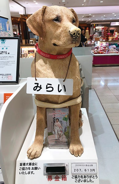 開始から２０年で盲導犬募金は累計７億円を突破／２２年秋の盲導犬キャンペーン開催のサブ画像1_そごう横浜店に設置している盲導犬募金箱「みらい」