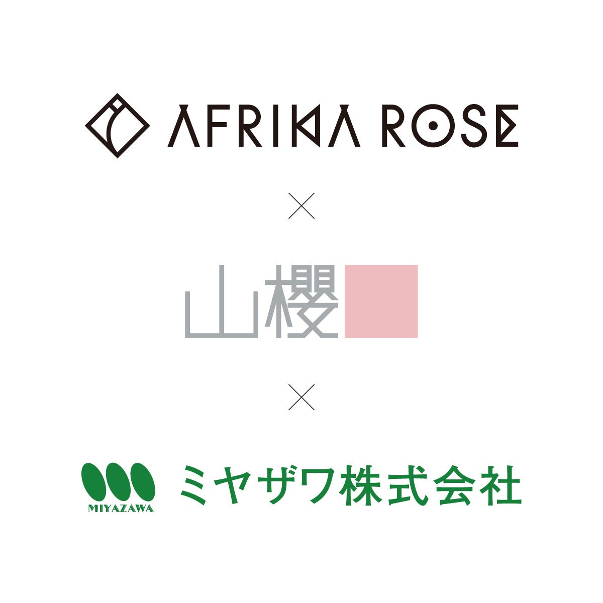 ミヤザワ× 山櫻× AFRIKA ROSE、3社が共同開発。地球環境に配慮した循環型祝い花「CELEBRATION ROSE（アフリカローズの祝いバラ）」を9月8日より発売開始。のサブ画像6