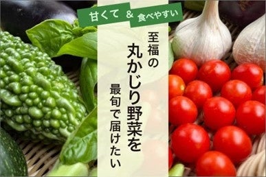 子どもたちに美味しくて安全な野菜を届けたい！家具端材で育てる丸かじり野菜とは？のサブ画像1