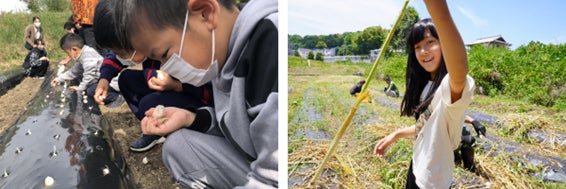 子どもたちに美味しくて安全な野菜を届けたい！家具端材で育てる丸かじり野菜とは？のサブ画像5