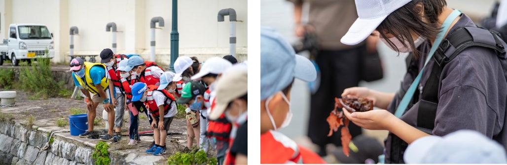 小学生が海釣りを楽しみながら身近な海の環境を学習する「海釣り自然塾～海と日本プロジェクト～」第2弾・親子向けを開催のサブ画像2_（左）岸壁からでも良く見ると海の生物を見つけられます　（右）海藻の小さな穴は小魚たちが食べた跡なんだって