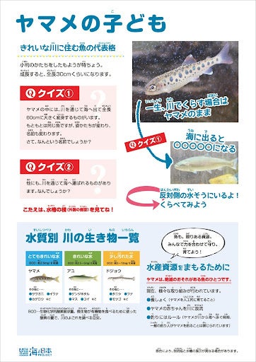 ～ふるさとの海を知ろう～ 函館朝市ミニ水族館 2022年秋のリニューアル！のサブ画像3