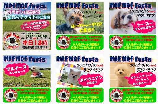 Makuakeのランキング1位獲得！大人気の「大好きなペットと一緒に乗れる電動バイク」『PONY』が、10/10(日・祝）開催の、モフモフ系ワンちゃんイベント「mof mof festa」に出店！のサブ画像4