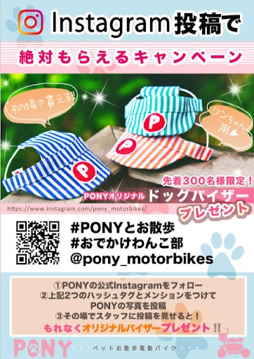 Makuakeのランキング1位獲得！大人気の「大好きなペットと一緒に乗れる電動バイク」『PONY』が、10/10(日・祝）開催の、モフモフ系ワンちゃんイベント「mof mof festa」に出店！のサブ画像5