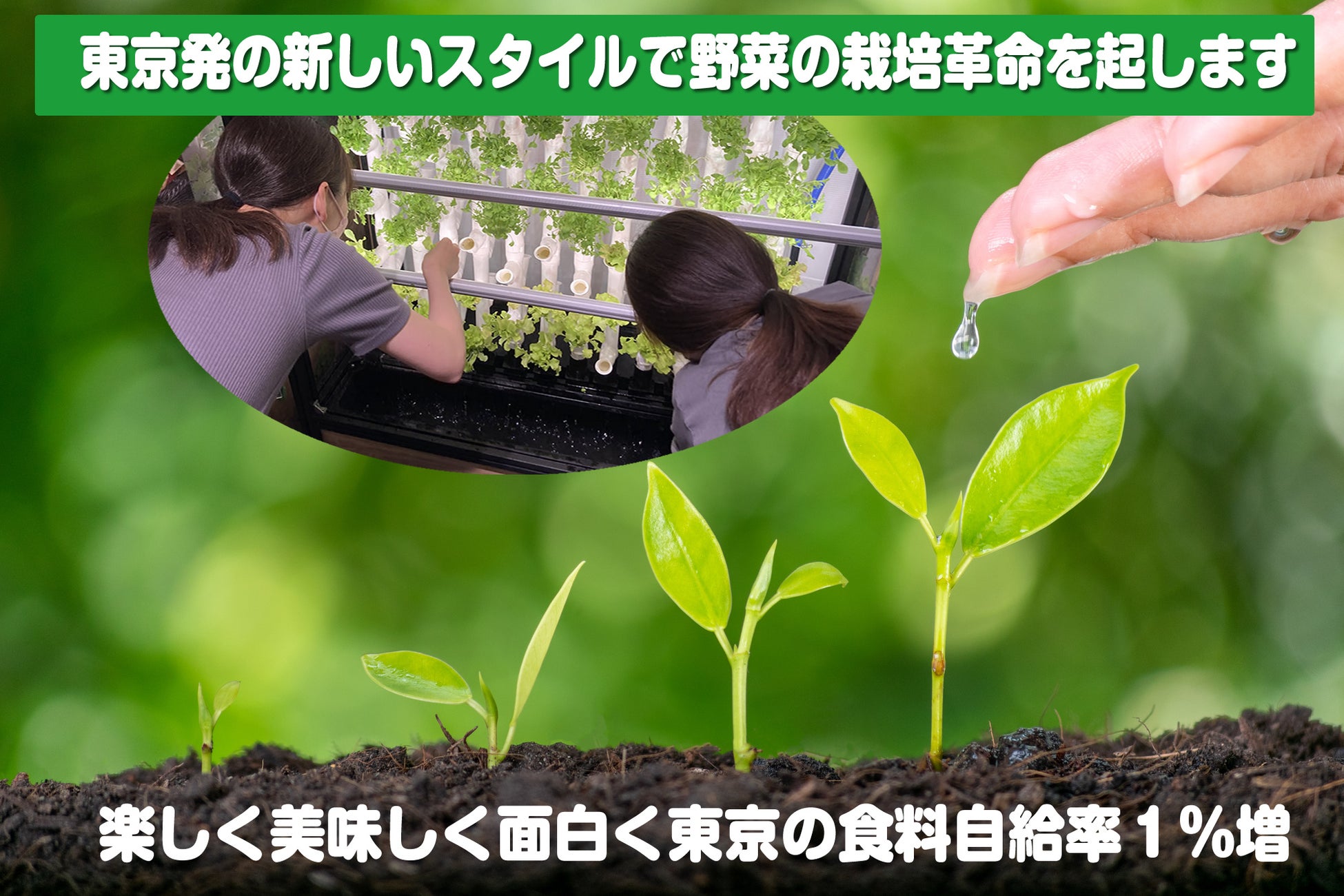 室内栽培で自給自足ライフ！『東京から新しいスタイルの栽培システムで食料自給率１％増』へ向け、ついにプロジェクト始動　クラウドファンディングの実施！のサブ画像1