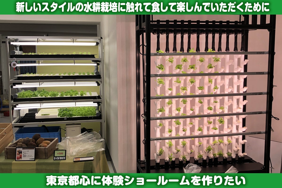 室内栽培で自給自足ライフ！『東京から新しいスタイルの栽培システムで食料自給率１％増』へ向け、ついにプロジェクト始動　クラウドファンディングの実施！のサブ画像2