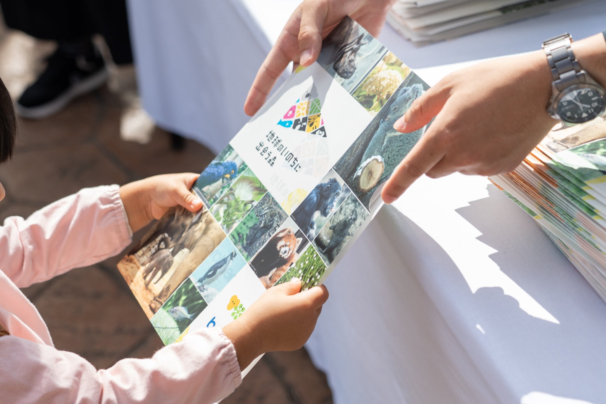 ブラザー、東山動植物園でアジアゾウの赤ちゃんの命名式を開催のサブ画像3_オリジナルクリアファイルが配布された