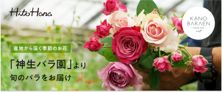 フラワーとグリーンの通販サイト「HitoHana（ひとはな）」が切り花の産地直送（産直）事業をスタート。第一弾は茨城県の「神生バラ園」から季節のバラをお届けのメイン画像