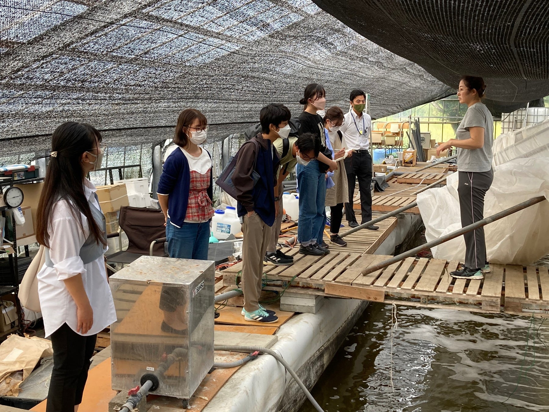 千葉大生が漁業・養殖業について学びSDGsについて考えるプログラムを実施のサブ画像2_養殖場の見学の様子