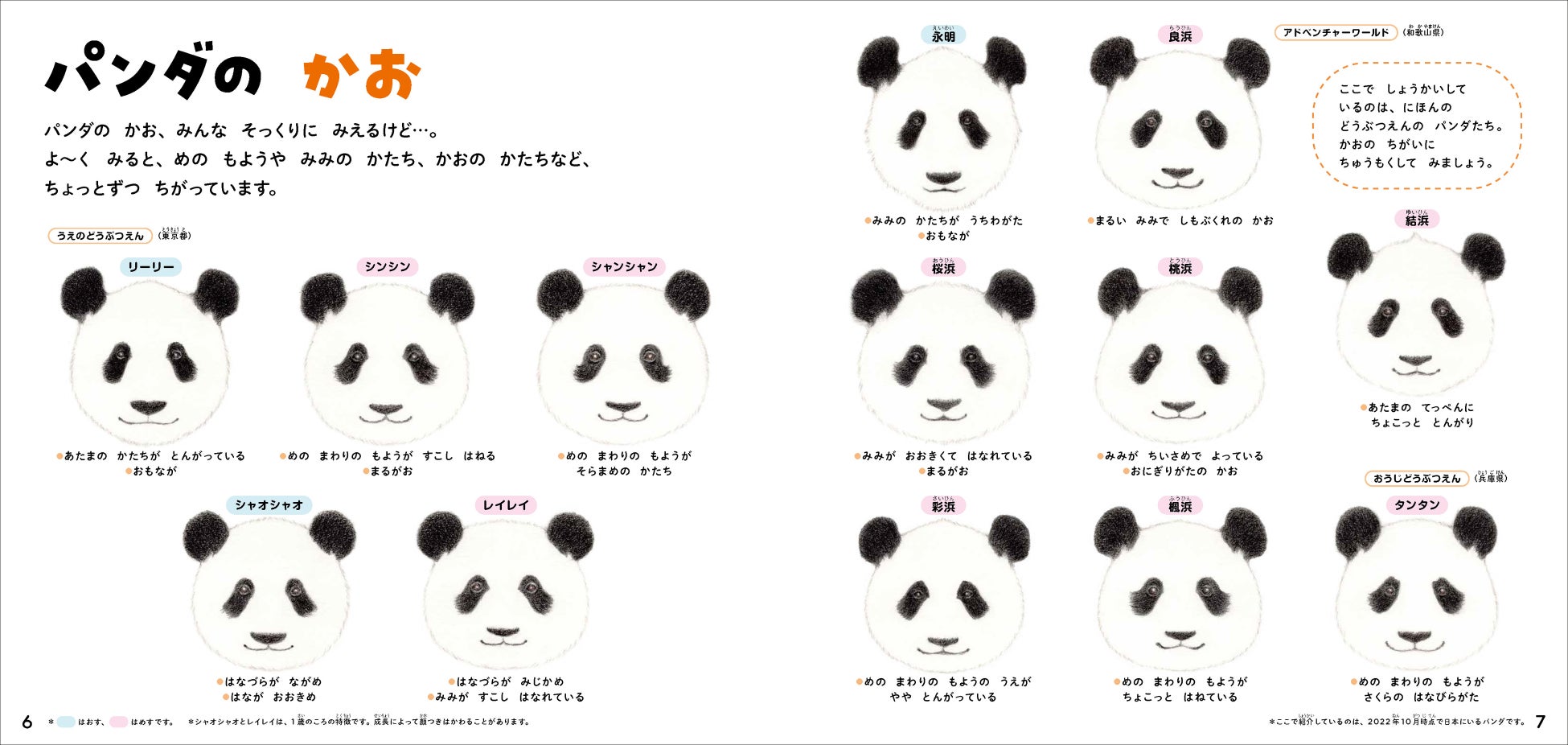 【パンダ来日50周年記念】パンダが大集合の絵本のような図鑑 『学研のえほんずかん パンダのずかん』予約開始！　絵本のようなやさしいタッチで、図鑑のように学べます。のサブ画像3_▲日本の動物園にいるパンダたちの顔の特徴を紹介。よ～くくらべてみてください。