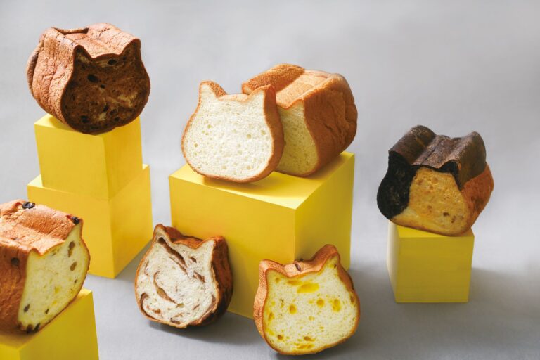 【11月1日(火)〜愛知・岐阜・三重でチャリティ募金に参加】ねこねこ食パンは、子どもの食を支援します。のメイン画像