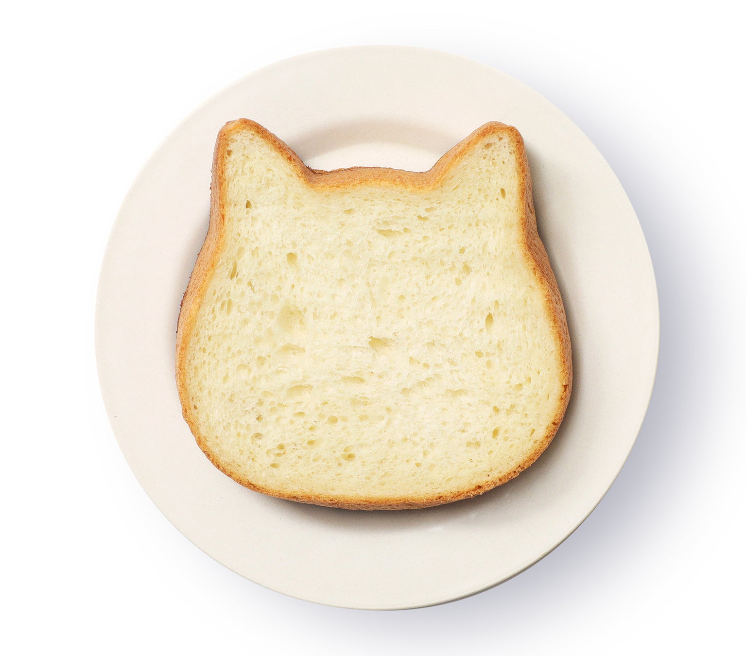 【11月1日(火)〜愛知・岐阜・三重でチャリティ募金に参加】ねこねこ食パンは、子どもの食を支援します。のサブ画像3
