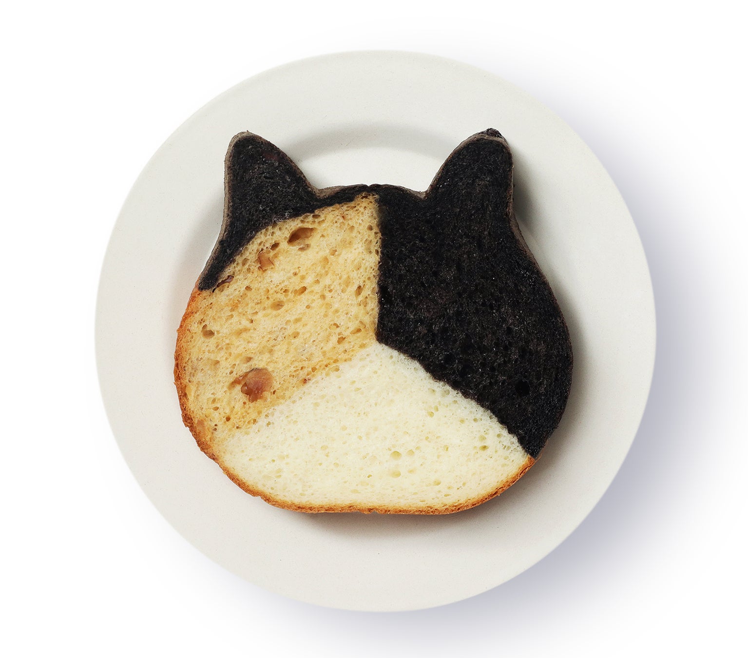 【11月1日(火)〜愛知・岐阜・三重でチャリティ募金に参加】ねこねこ食パンは、子どもの食を支援します。のサブ画像4