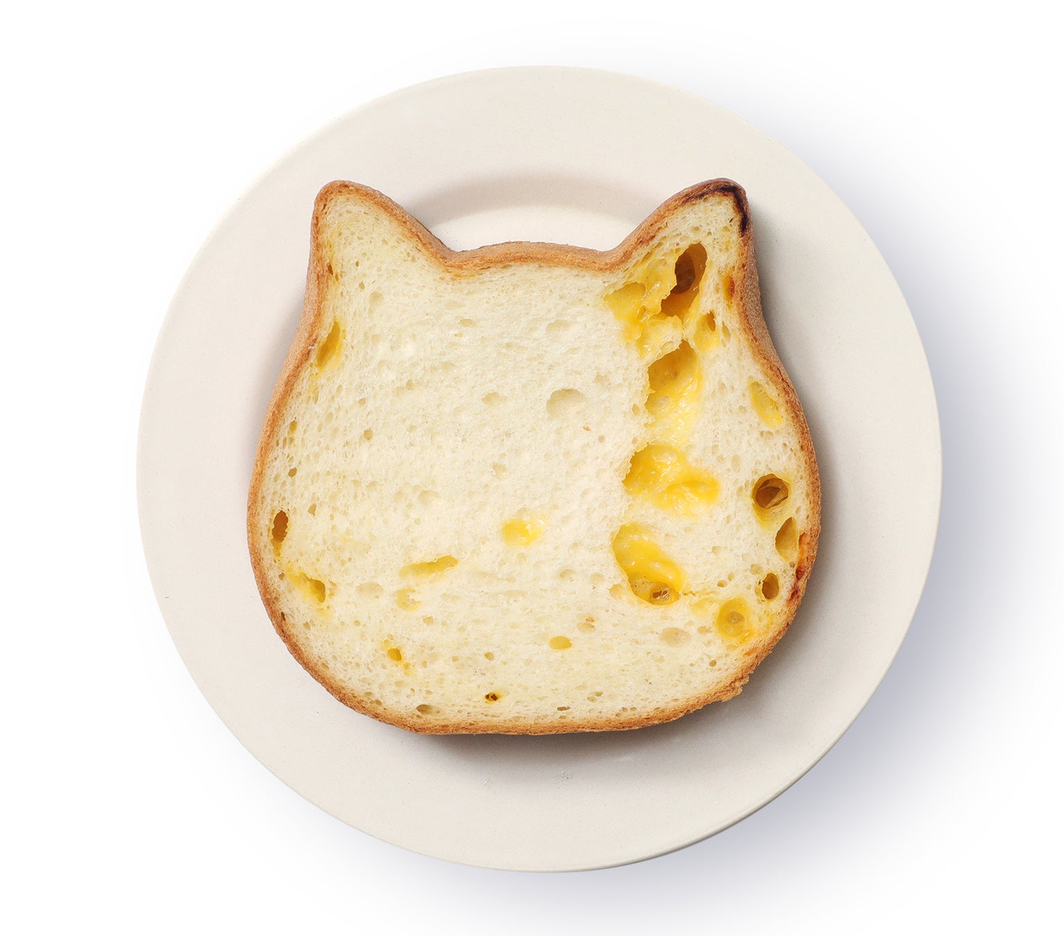 【11月1日(火)〜愛知・岐阜・三重でチャリティ募金に参加】ねこねこ食パンは、子どもの食を支援します。のサブ画像6
