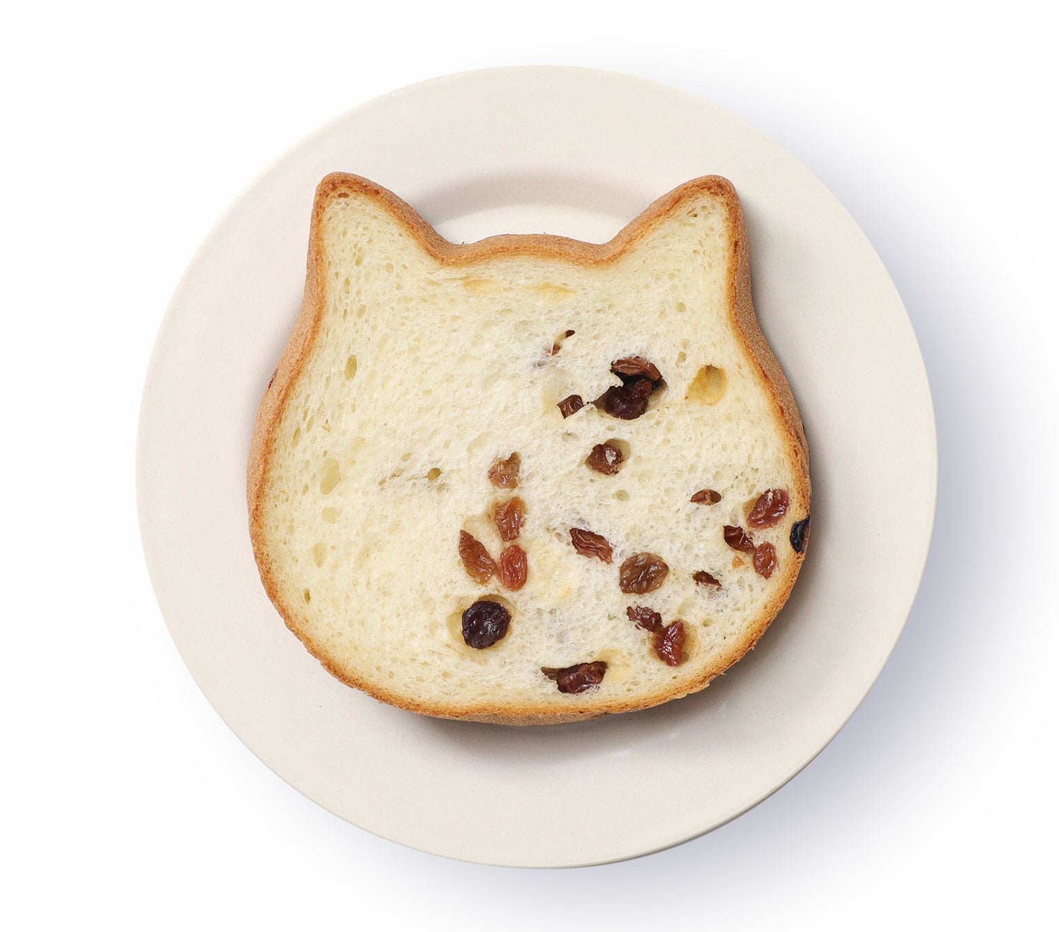 【11月1日(火)〜愛知・岐阜・三重でチャリティ募金に参加】ねこねこ食パンは、子どもの食を支援します。のサブ画像8