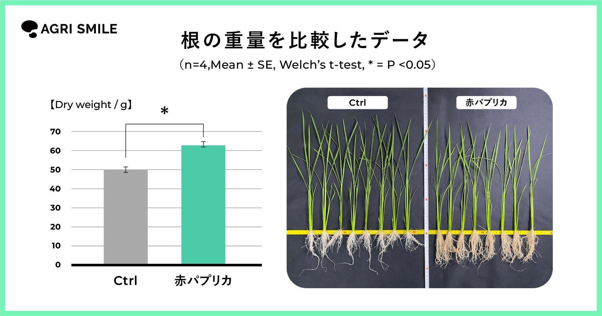 AGRI SMILE、国内初！脱炭素社会実現に向けて食品残渣からバイオスティミュラント化に成功のサブ画像3