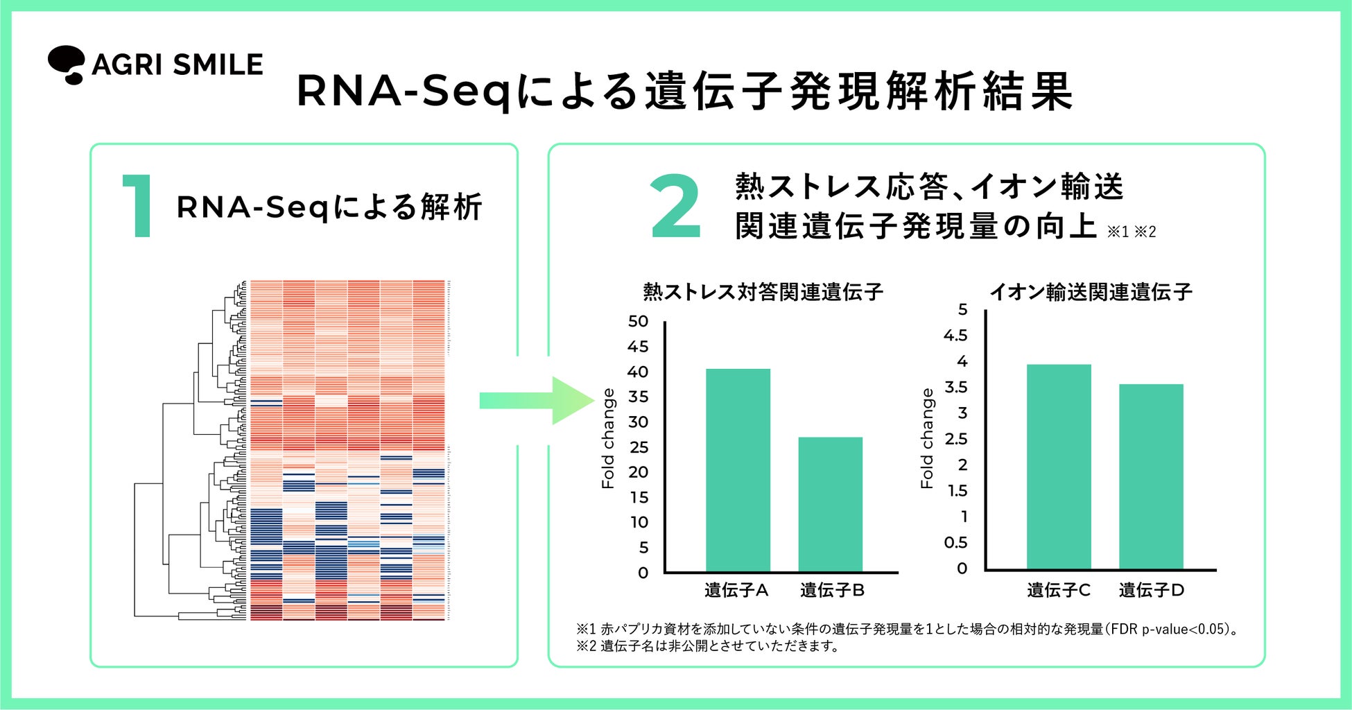 AGRI SMILE、国内初！脱炭素社会実現に向けて食品残渣からバイオスティミュラント化に成功のサブ画像4