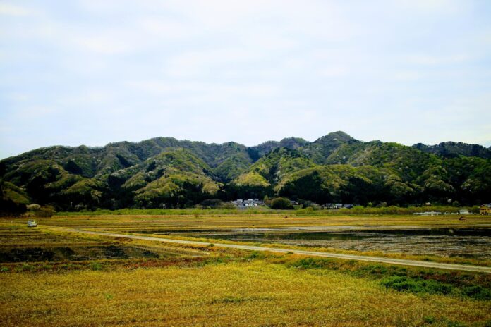 ［オンライン説明会開催］植林・育林専門集団「青葉組」が新潟県村上市に拠点を開設、展開開始！立ち上げメンバーを募集します。のメイン画像