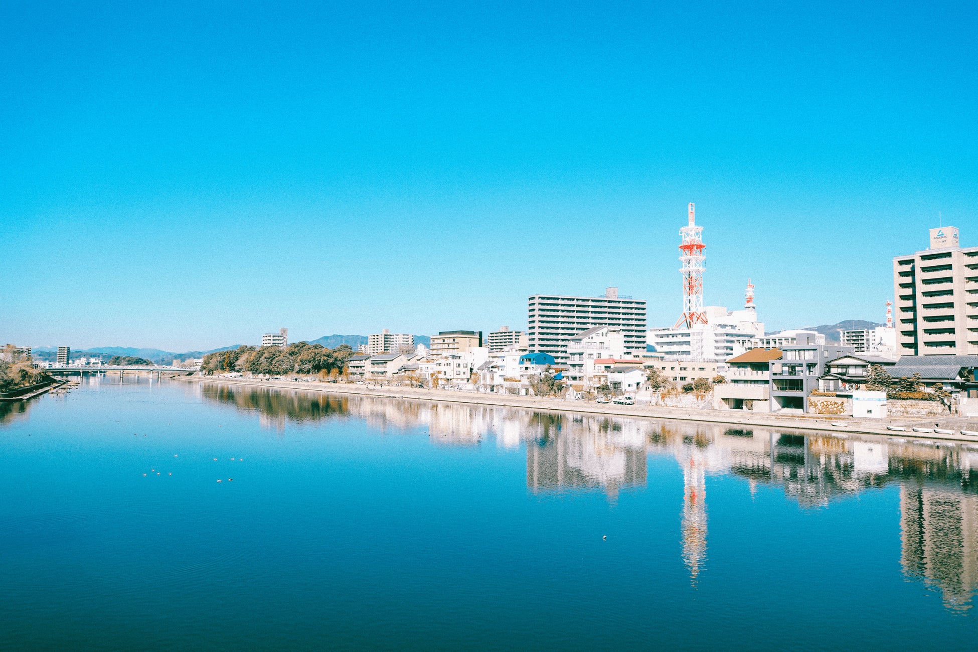 高知市の清流・鏡川の魅力を編集するオンライン講座「エディットKAGAMIGAWA」第2期受講生募集中！のサブ画像2
