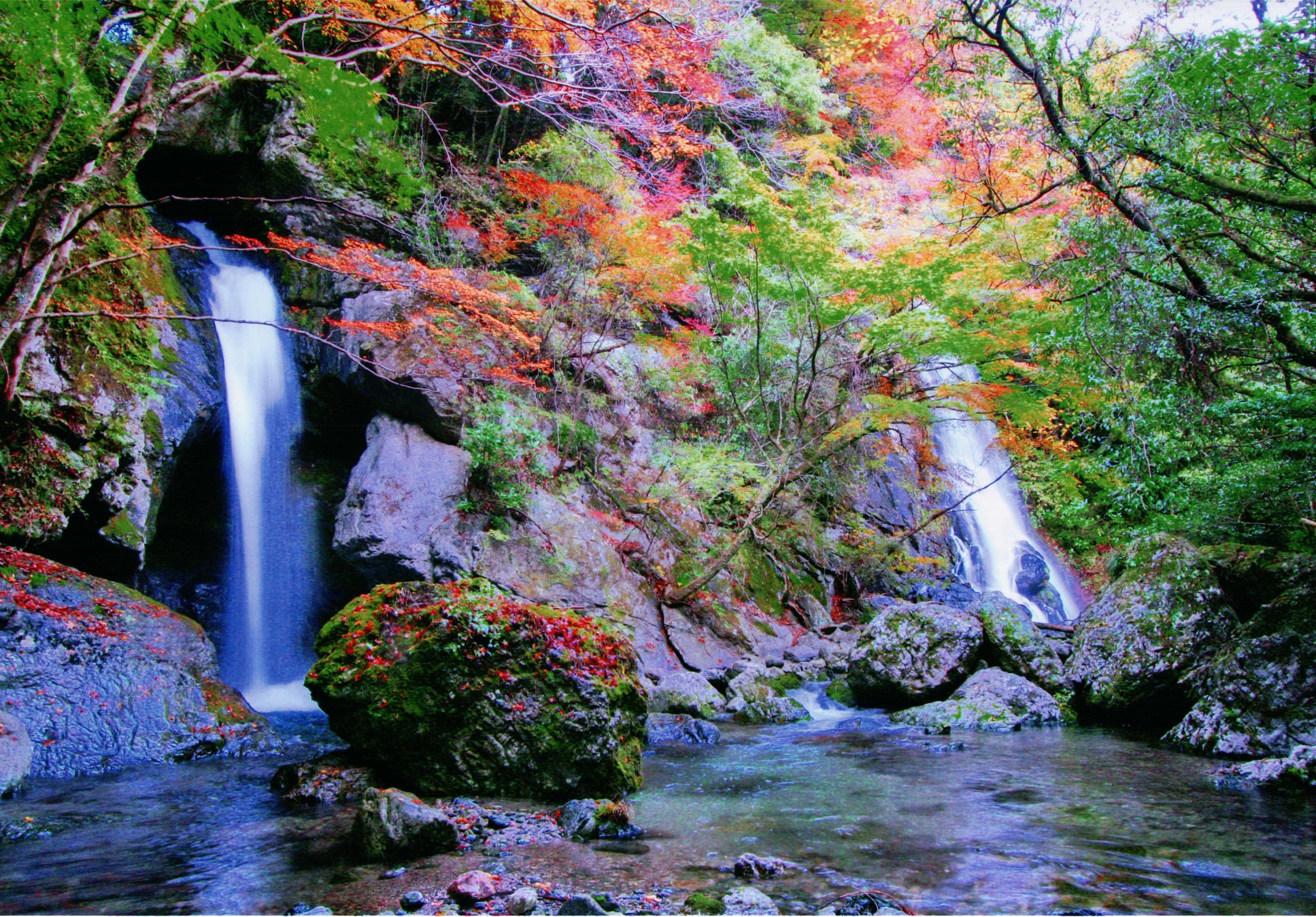 高知市の清流・鏡川の魅力を編集するオンライン講座「エディットKAGAMIGAWA」第2期受講生募集中！のサブ画像3