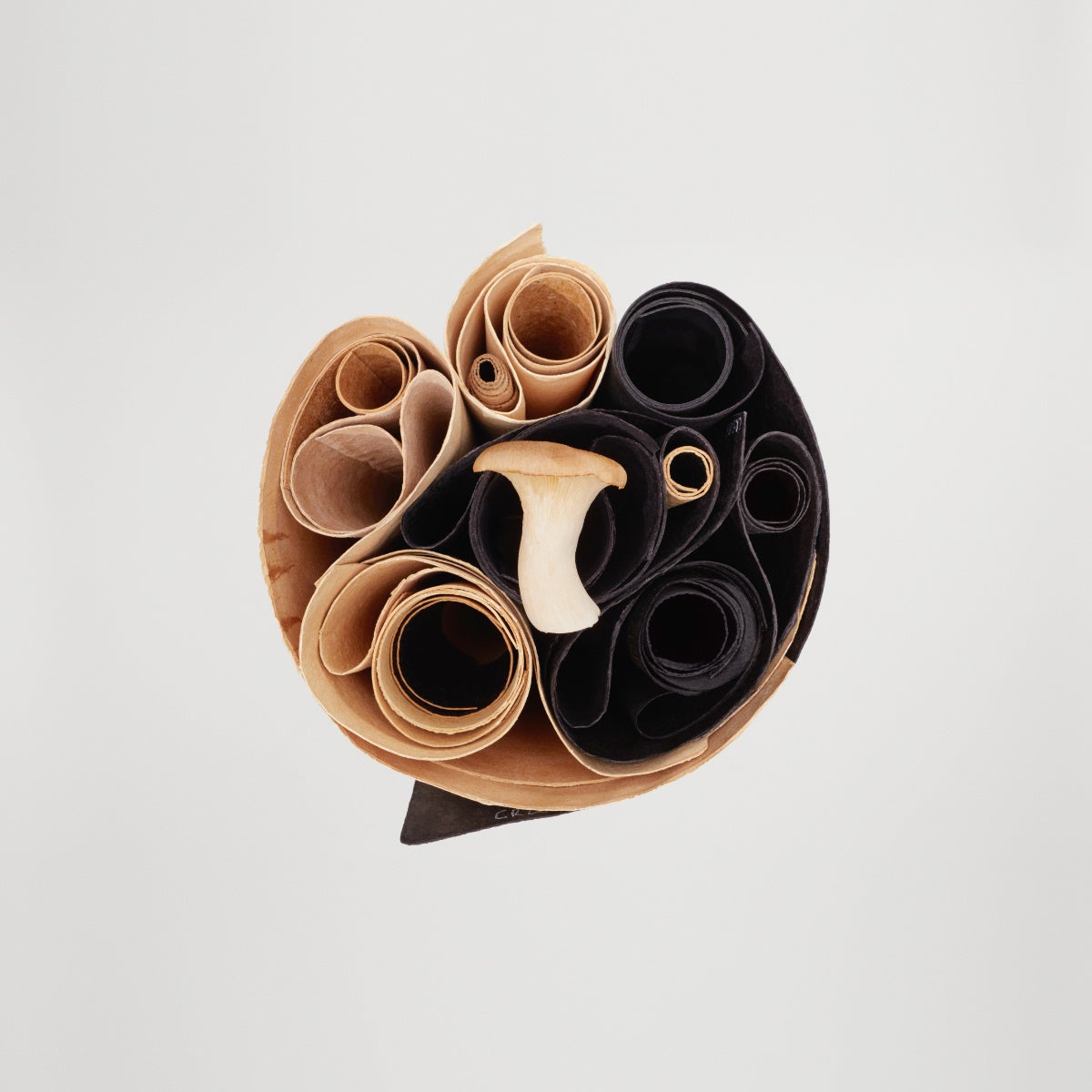 【土屋鞄】国内初、キノコの菌糸体由来の素材「Mylo™️」を採用した新製品を発売のサブ画像7