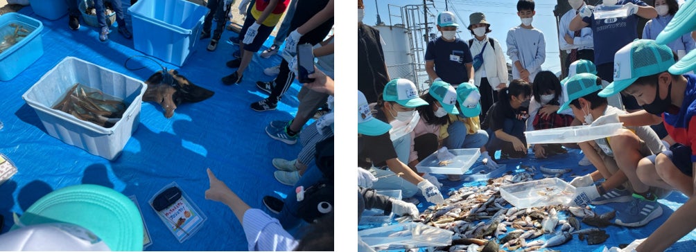大阪湾ってええところこんなにいっぱいあるん！？小学生が大阪湾の生物の多様性や栽培漁業について学んだ2日間【大阪湾めっちゃええやんプロジェクト】を開催しました！のサブ画像2
