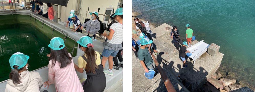 大阪湾ってええところこんなにいっぱいあるん！？小学生が大阪湾の生物の多様性や栽培漁業について学んだ2日間【大阪湾めっちゃええやんプロジェクト】を開催しました！のサブ画像4