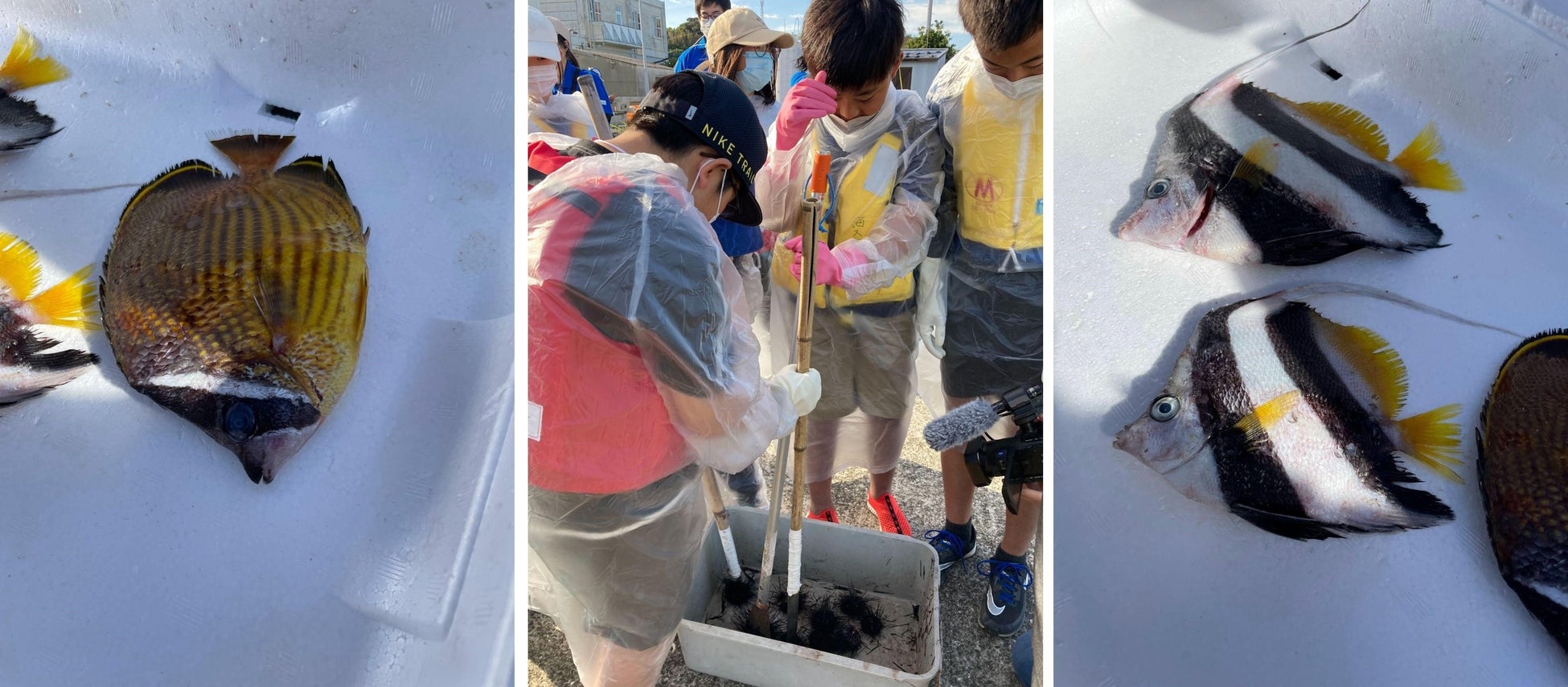 北海道と長崎の小学生が五島の海を守る最先端の科学技術にせまる！第3回「長崎・五島 東シナ海調査隊／るもい・日本海調査隊！2022」を開催しました！のサブ画像5