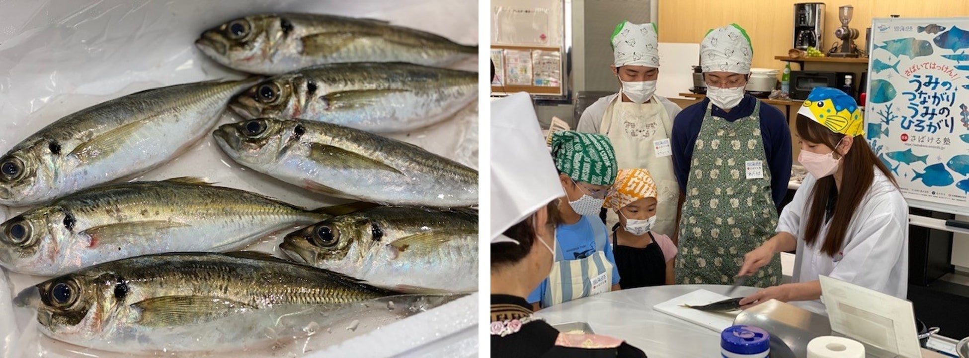 鹿児島の郷土料理に欠かせない「キビナゴ」をさばいて料理！鹿児島県の自然豊かな漁場での努力を学び 海の未来・魚の未来を考える！『日本さばける塾 in 鹿児島』を開催しました！のサブ画像2