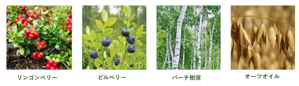 フィンランドの森の微生物に着目した サステナブルビューティブランドMoi Forest（モイフォレスト）日本初上陸  2022年10月13日（木）より新発売のサブ画像3