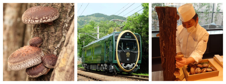 【THE THOUSAND KYOTO】◇期間限定◇ 地元京都の叡山電鉄が育てた、サステナブルな「えいでん原木しいたけ」をホテルレストランで提供のメイン画像