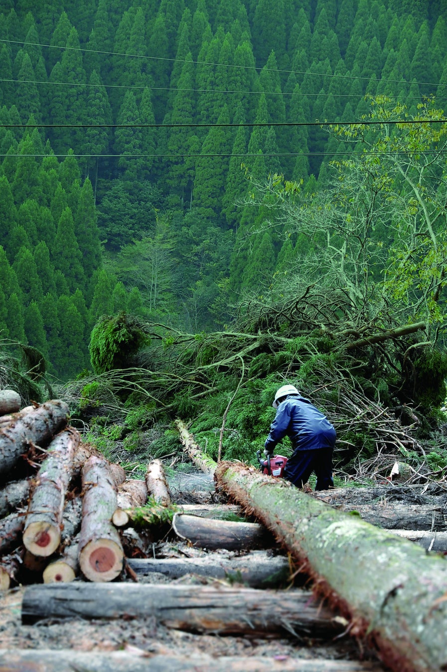 2022年11月27日、全国一斉木育イベント「森のとびらin佐賀」開催！本物の木に触れ、手ざわりや匂いを感じながら、日本の山について考えてみようのサブ画像8