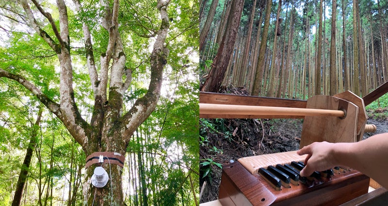 【アホすぎるチャレンジで万博へ】地球をまるごと楽器に！世界中の森の木々がパイプオルガンのように鳴り出す『地球オルガンプロジェクト』実験演奏会。12月に大阪・河内長野で開催。のサブ画像2