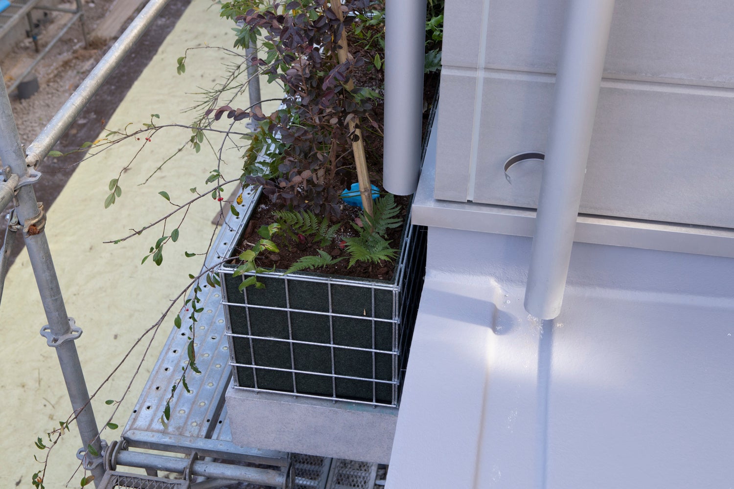 LEED認証取得の賃貸住宅「鈴森village」、埼玉県和光市に誕生のサブ画像5_建物取り囲むように配置した植栽には、雨どいからの雨水をしみ込ませる