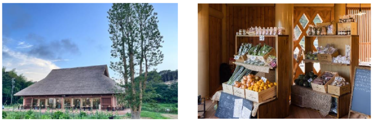 自然循環型モノづくりを通して持続可能な社会の実現を目指す　Awaji Nature Lab＆Resort 『自然と暮らし研究所』 11月7日開設のメイン画像