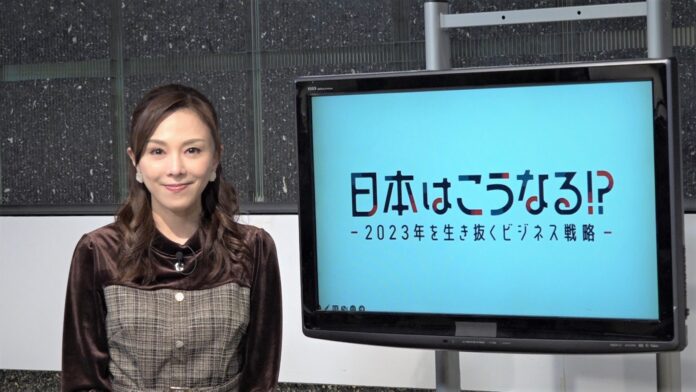BSテレ東 特別番組「日本はこうなる!?～2023年を生き抜くビジネス戦略～」のメイン画像