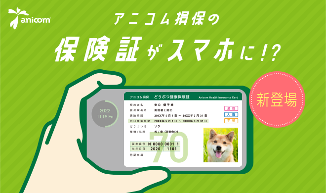 ペット保険のアニコム、スマホで使える『e-どうぶつ保険証』をリリースのメイン画像