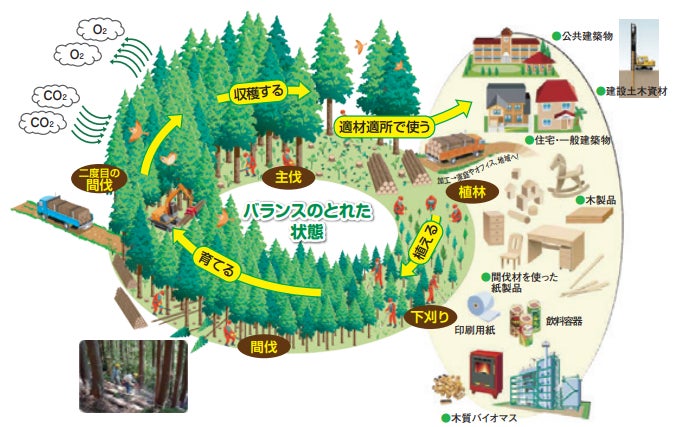 UPDATER、生い立ちの分かる国産材で日本の森林を守る新事業「みんなリビング」を開始のサブ画像8