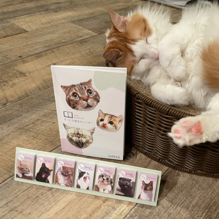《 先行予約分が大反響 》SUMIKA×himekuriコラボ企画商品『まいにち猫活カレンダー』通常販売開始に合わせ取扱事業者さまも大募集！のメイン画像
